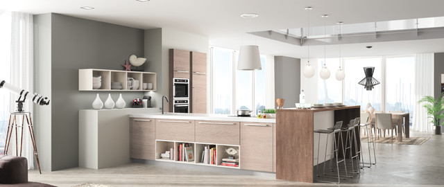 Cuisines Morel modern-koek