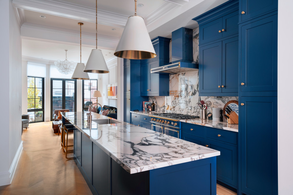 Inspiration for a transitional kitchen remodel in DC Metro
