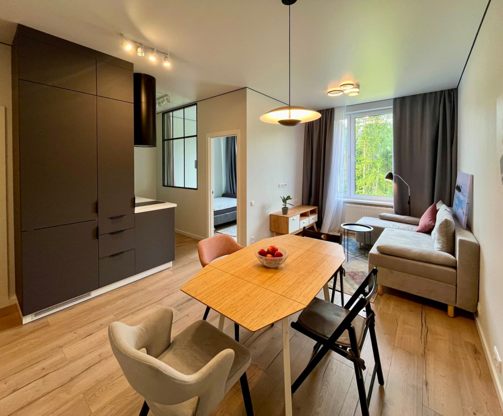 Проект студии 37м2, ЖК Серебрица