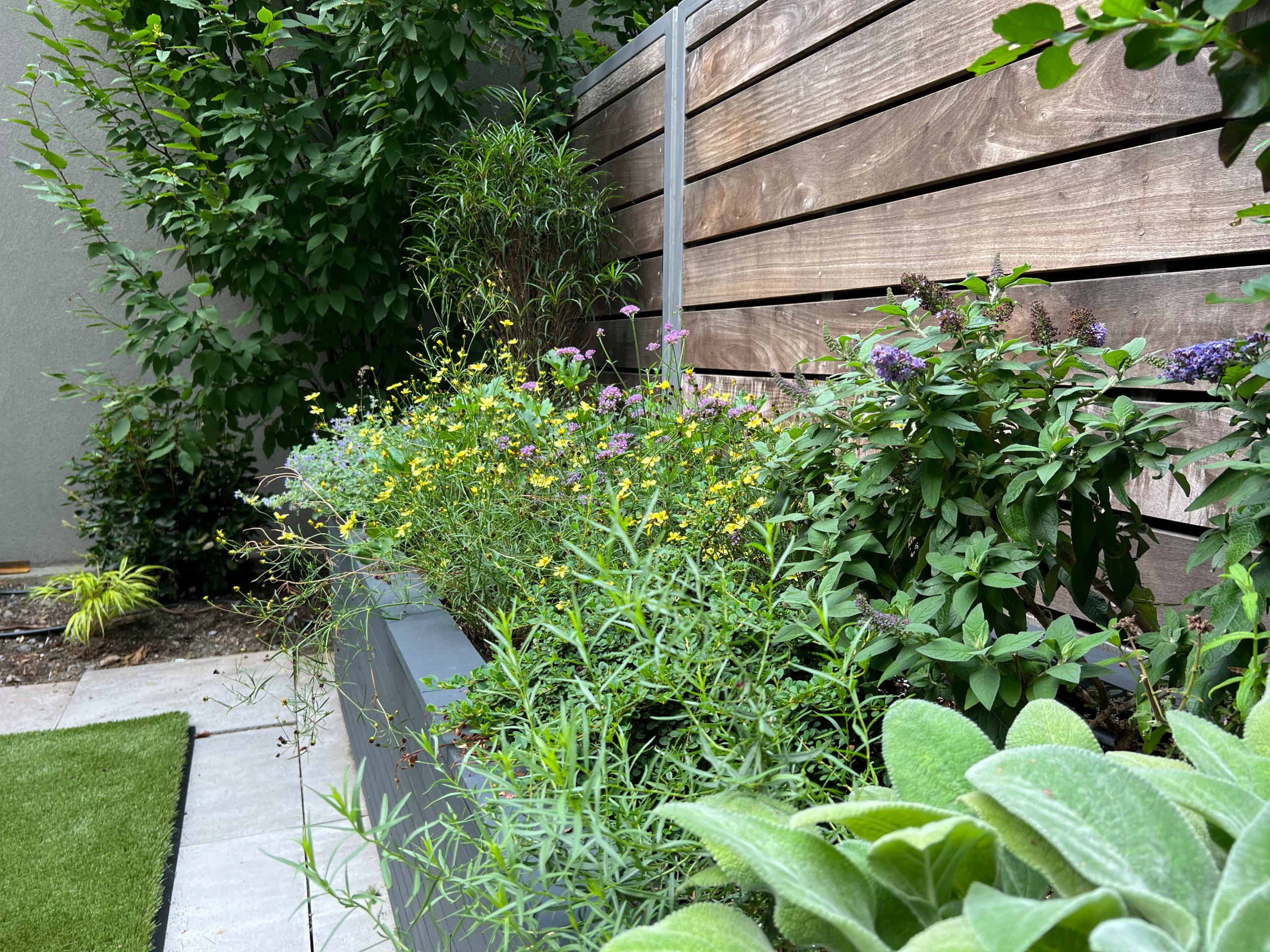 Garage Rooftop Container Garden