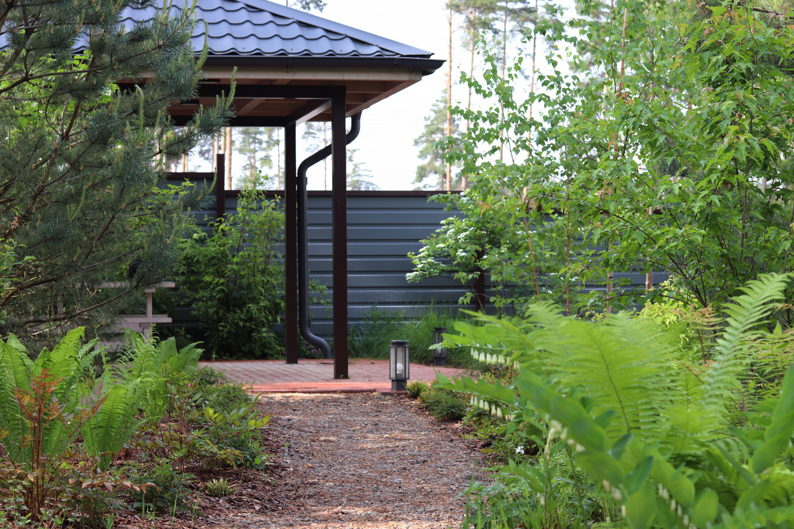 Русский лес