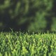 Synthetic Grass & Rubber Surfaces Australia