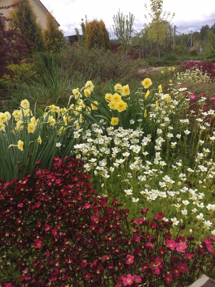 Сад трав и цветов.