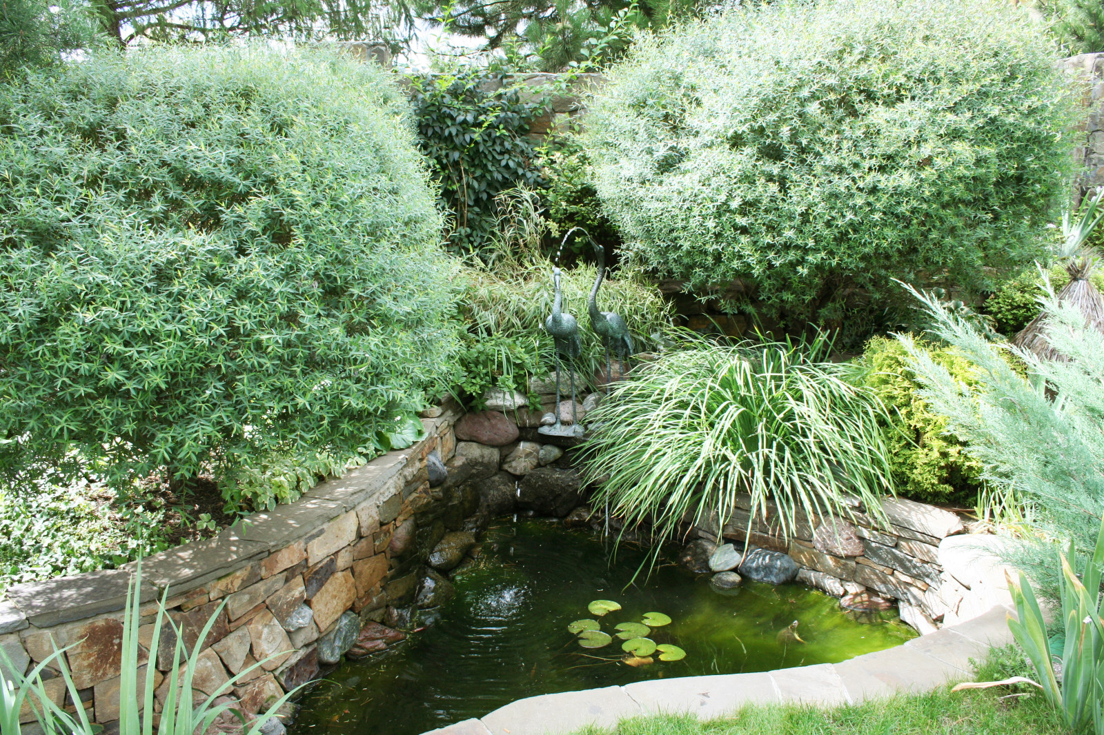 Ландшафт участка