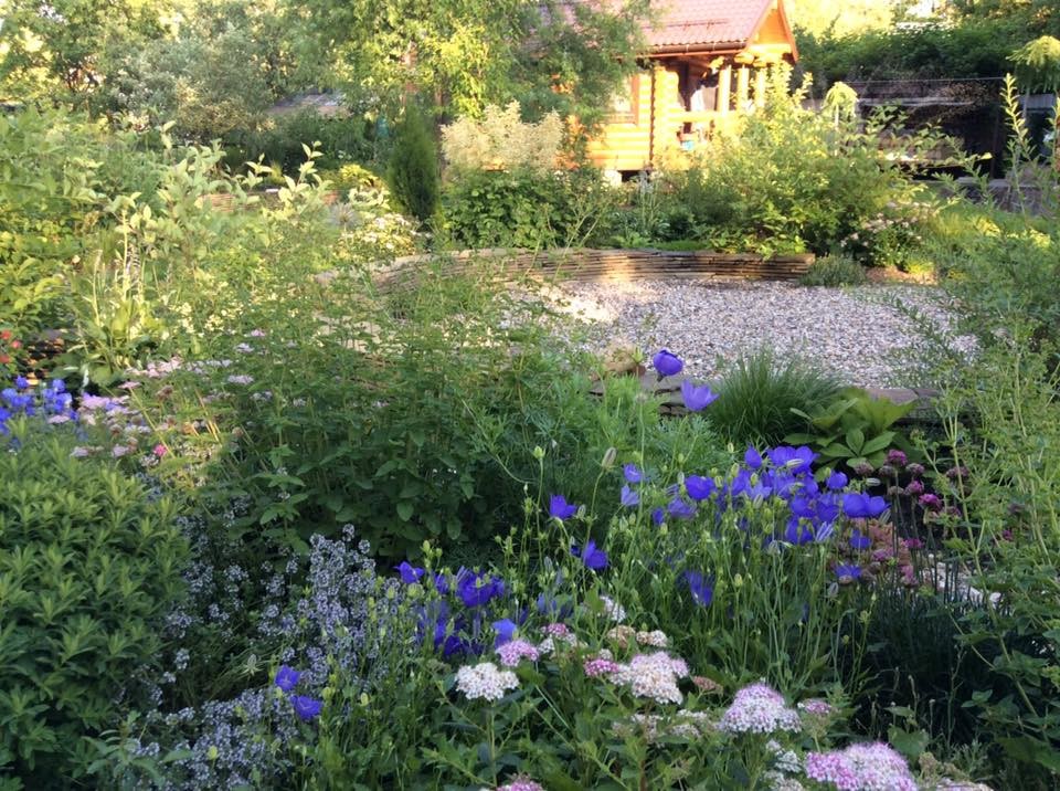 САДИК НА ЛАДОШКЕ 2016