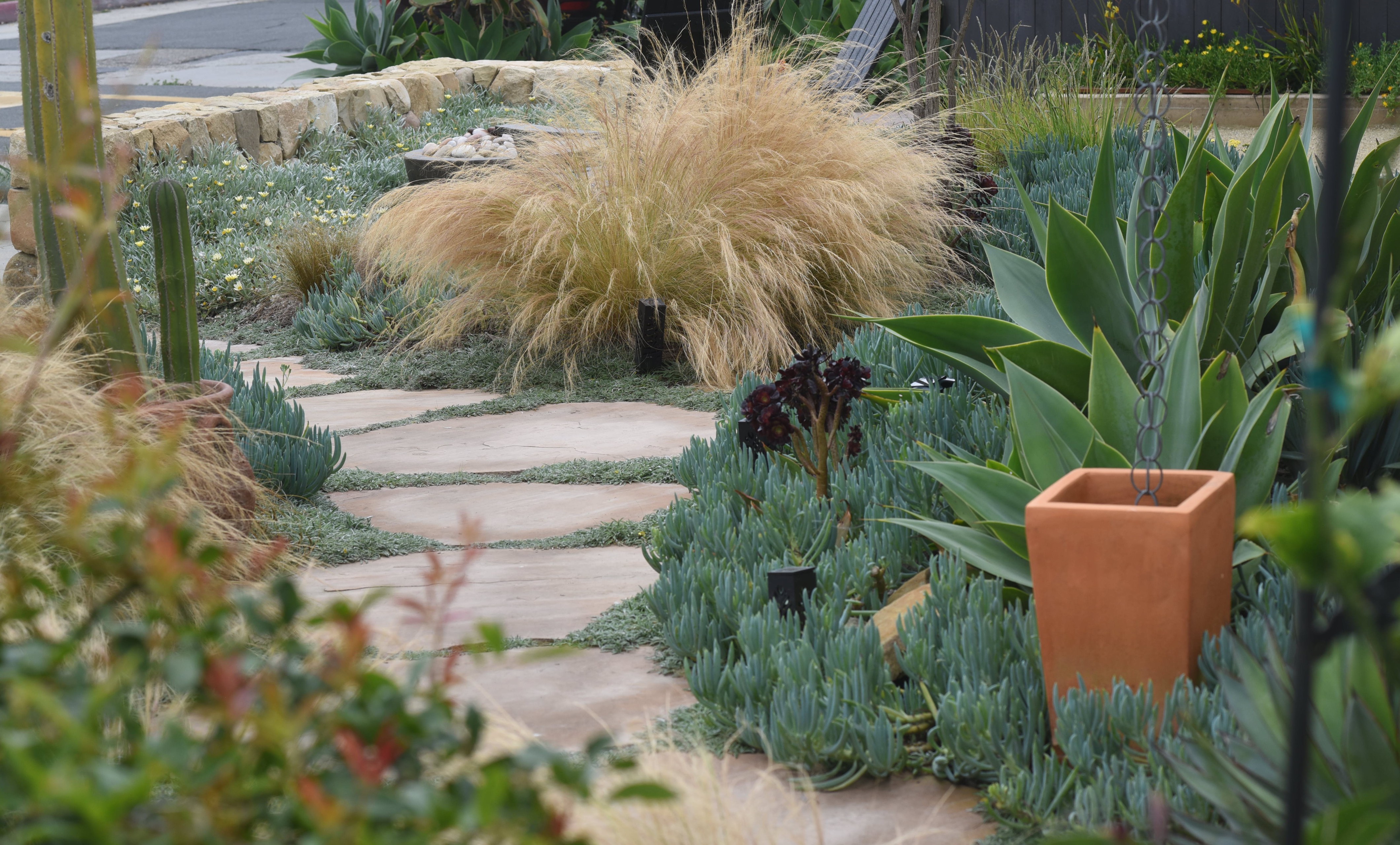 Front Yard Landscape