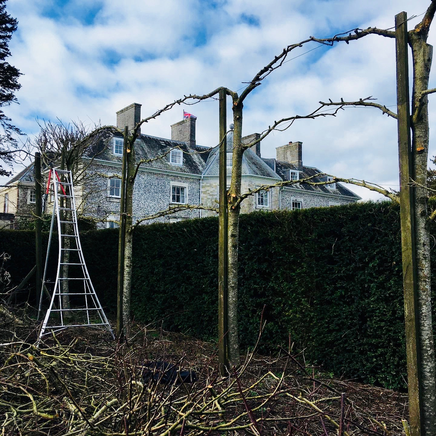 Arboriculture