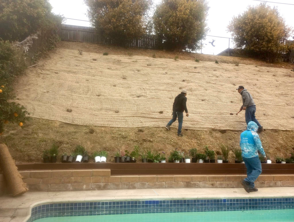 Backyard Renovation