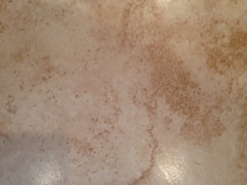 Anyone Recognize This Discontinued Florida Tile Attached Are Pictures Of The Tile It Is Hard To Tell Due Lighting But Shades Tan Beige And Cream Any Help You Can Give Would Be