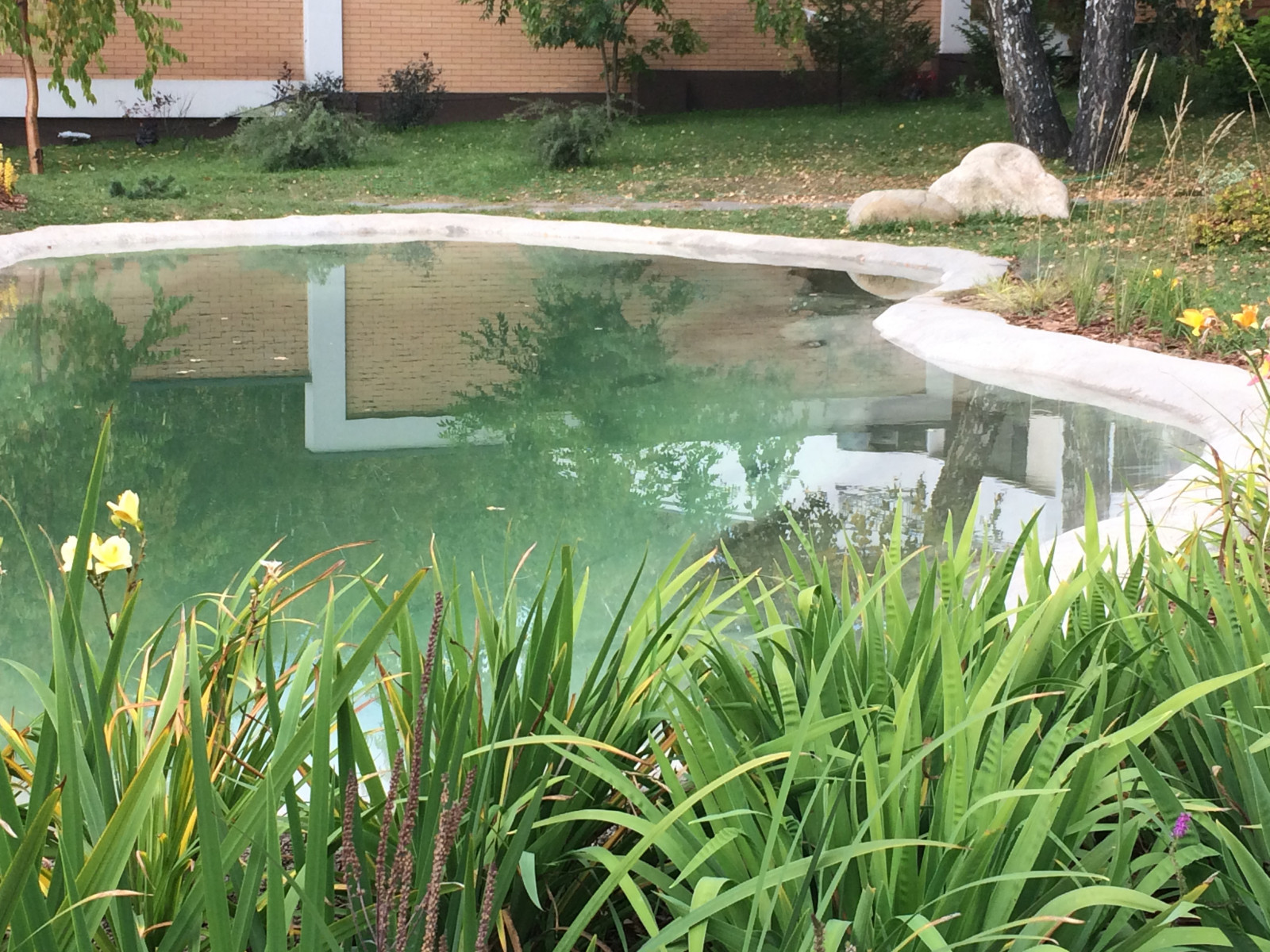 Сад с водоемом