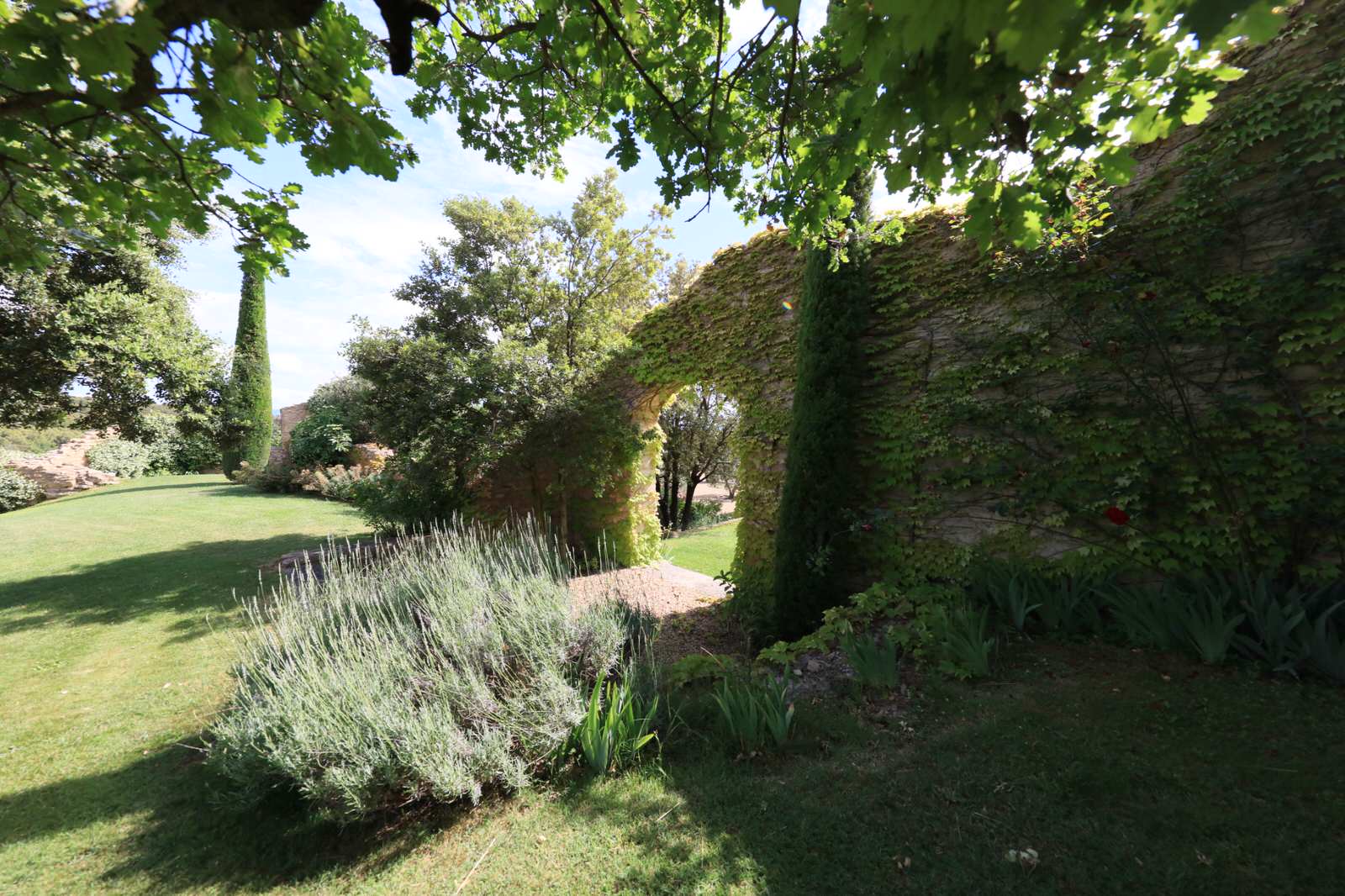 Красивый сад