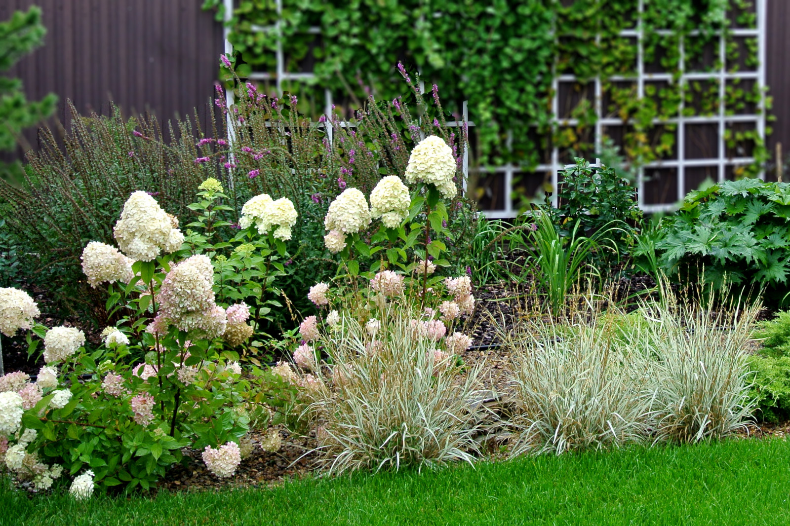 Дом под открытым небом