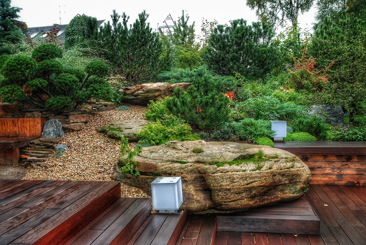 и на камнях растут цветы