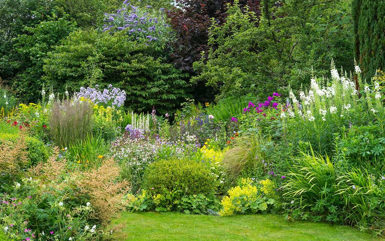 Perennial Gardens