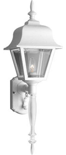 Non-Metallic Incandescent White One-Light Outdoor Wall Sconce with Clear Beveled