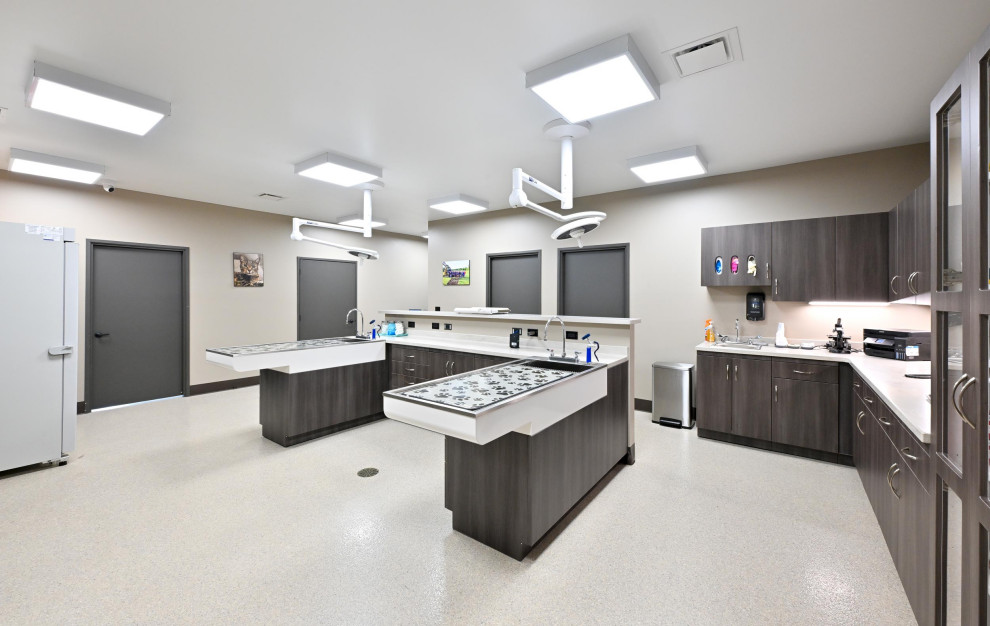 Ashland Vet Project