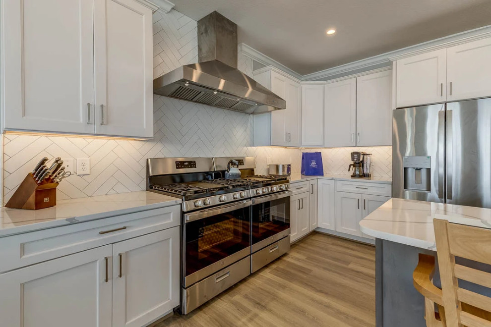 Dolphin Watch (2023)