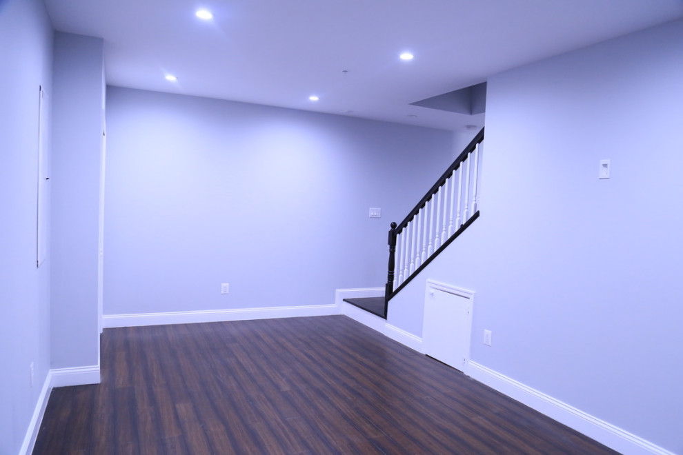 Basement - transitional basement idea in DC Metro
