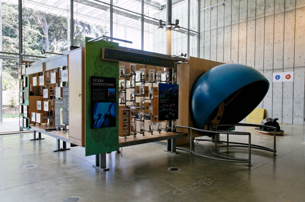 Calofornia Academy of Sciences, San Francisco, CA (with RPBW)