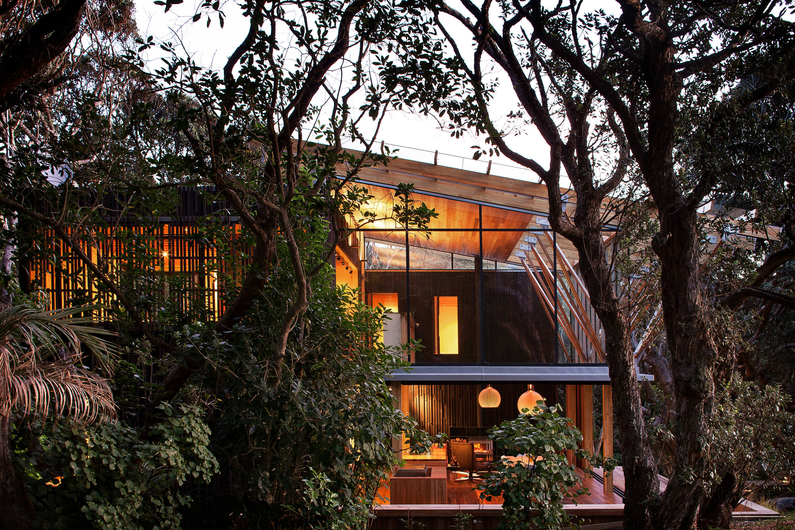 Houzz Tour: Native Trees Are Part of This Home's Design, image size:2560x1706