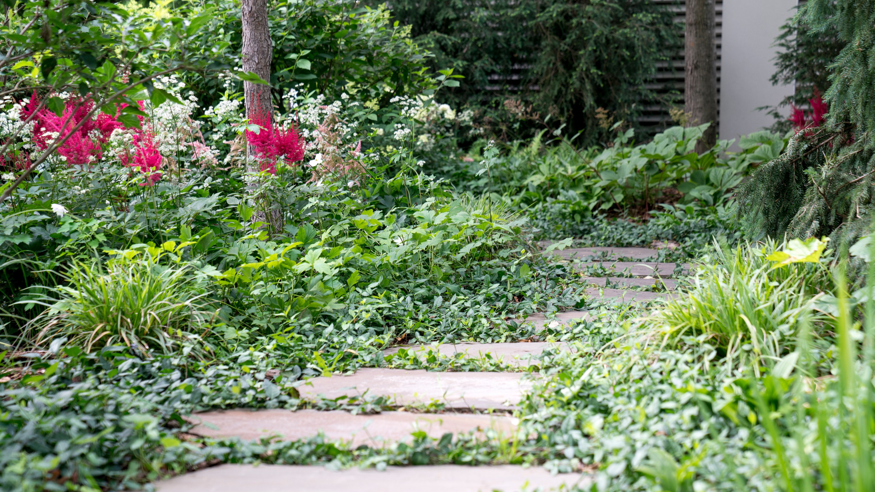 Очарование английского сада КП Балтия 2018 г