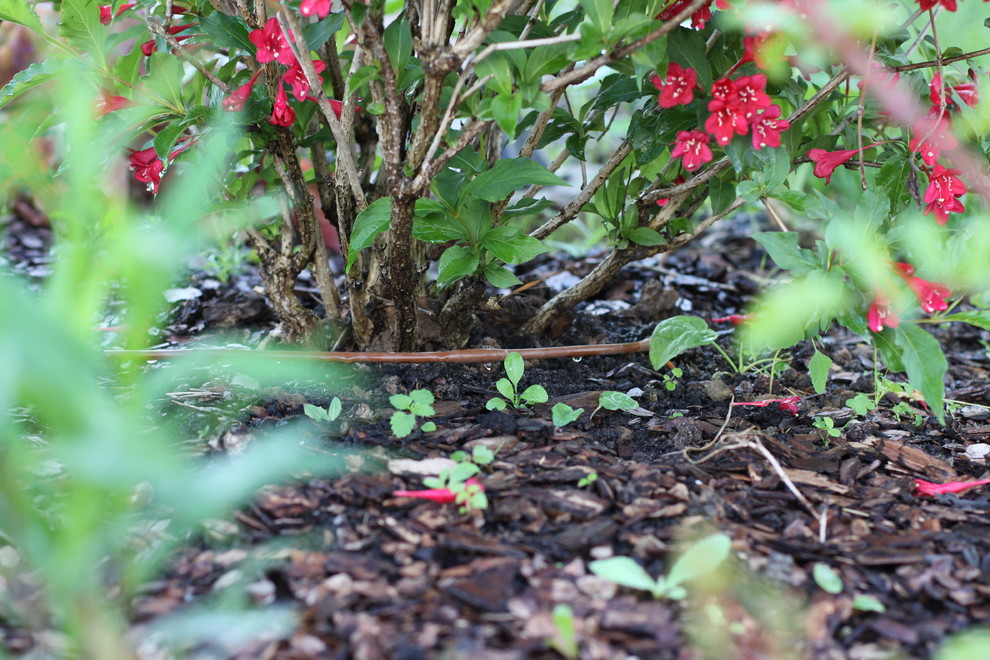 Проект автополива 15 соток