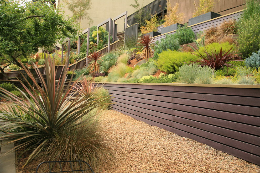 This is an example of a large modern backyard partial sun xeriscape in San Francisco with a retaining wall and concrete pavers.