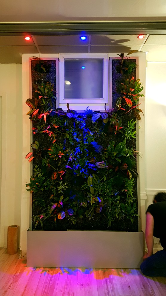 This is an example of a large tropical foyer in Toulouse.