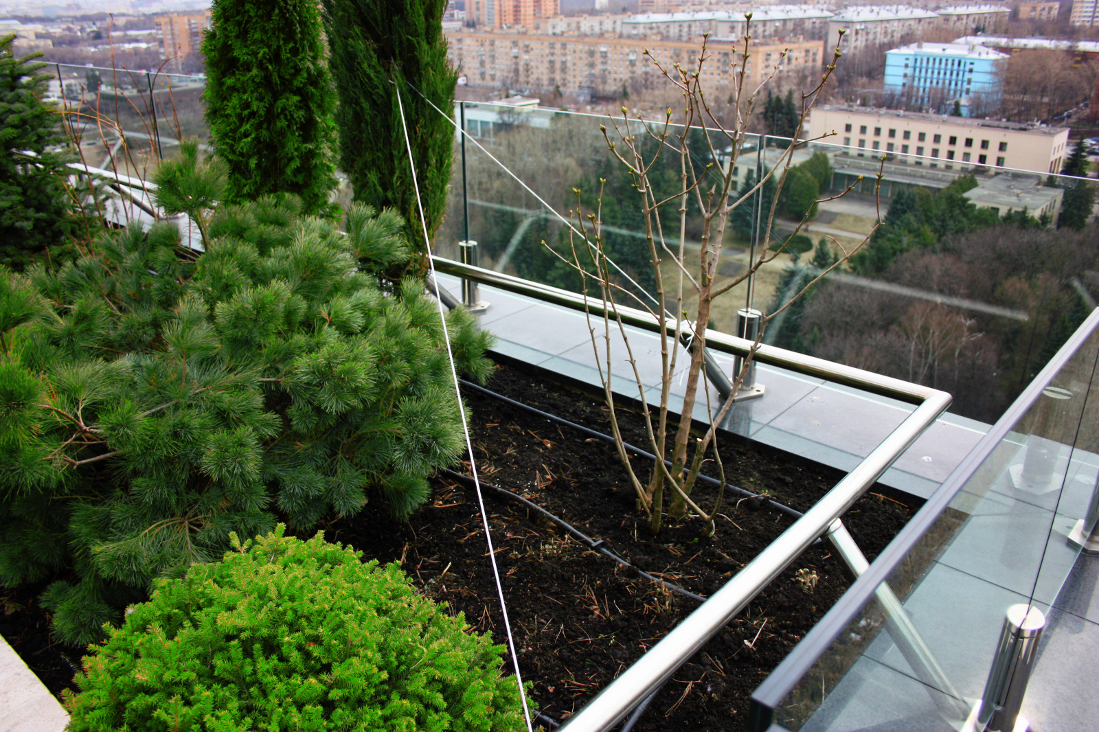 Автополив на крыше ул. Мосфильмовская