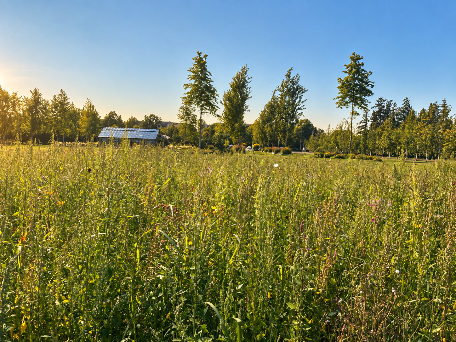 Athiana Acres:  A Family Legacy (An organic Regenerative Farm)