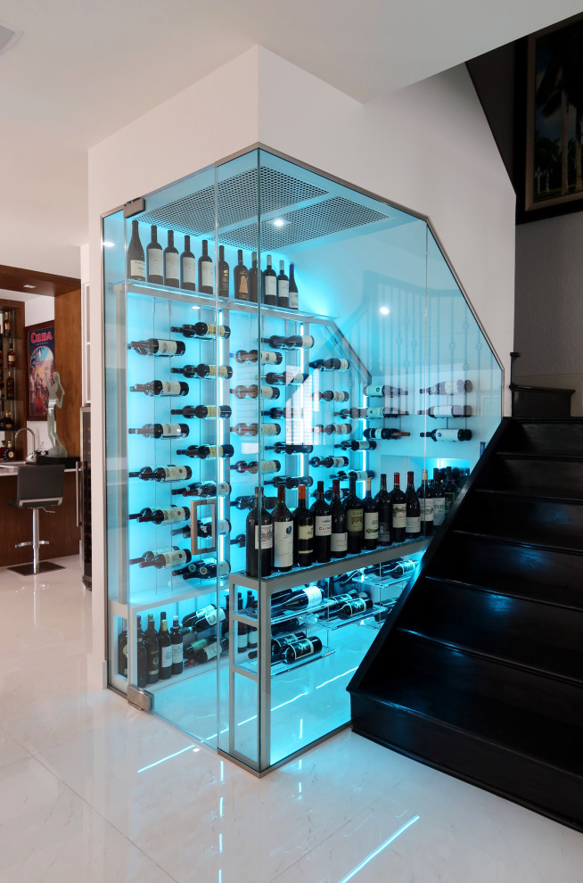 Design ideas for a modern wine cellar in Miami.