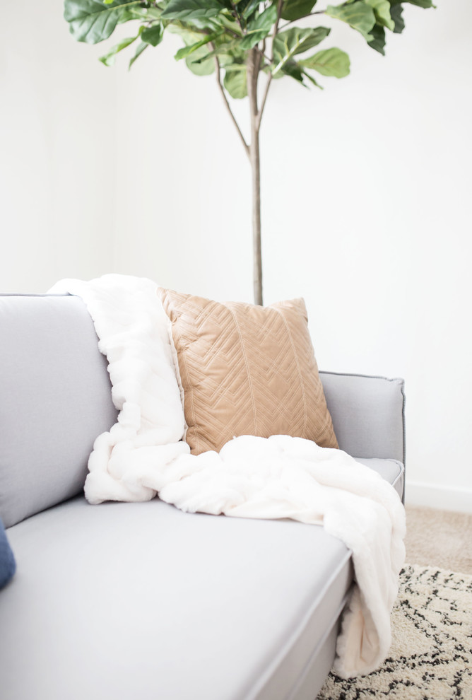 Transitional home design photo in Phoenix