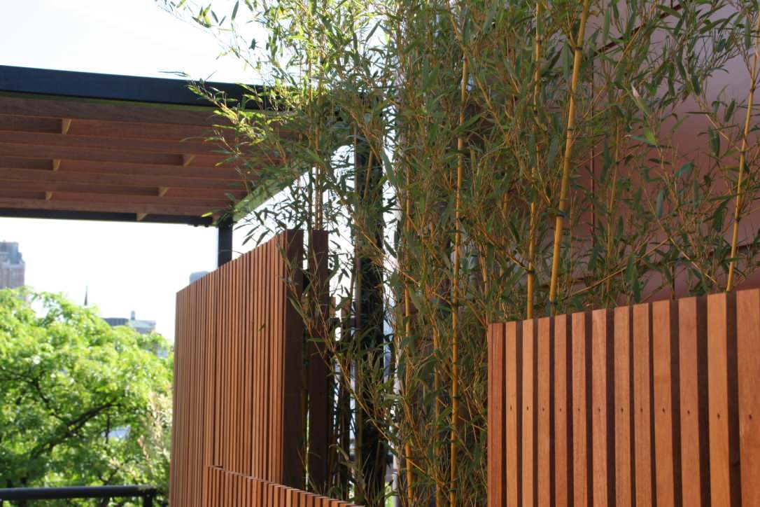 Cobble Hill Rooftop & Pergola
