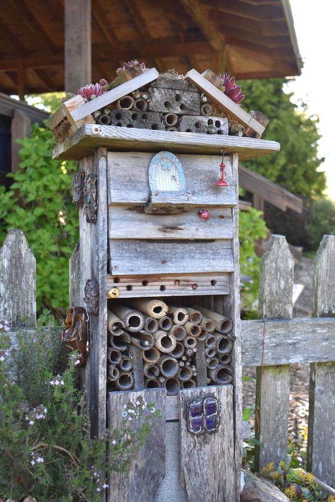 Inspiration for a vegetable garden landscape in Seattle for spring.