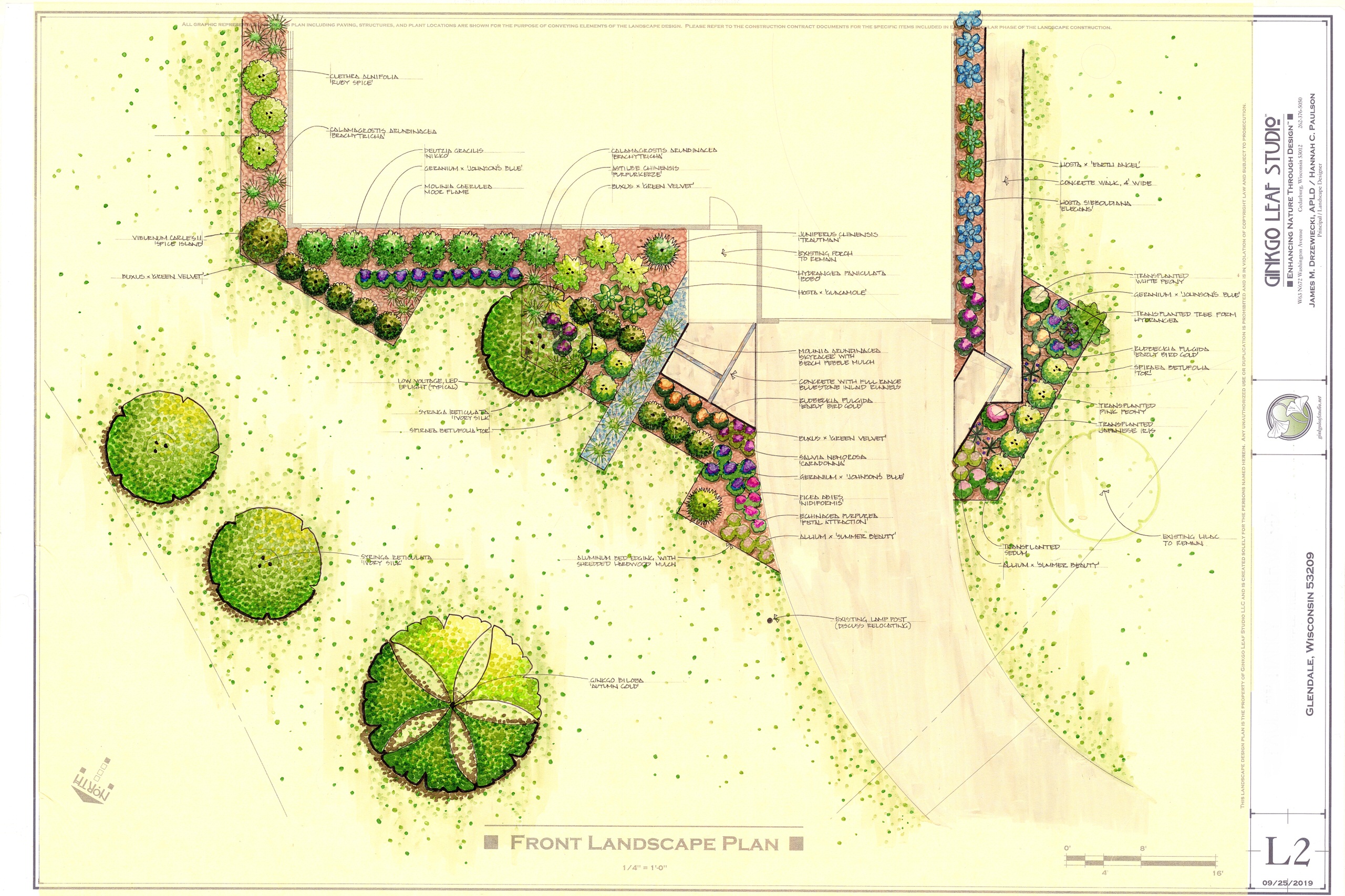 Mid-Century Front Landscape - Glendale