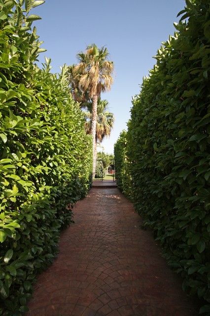 HMI contemporary-garden