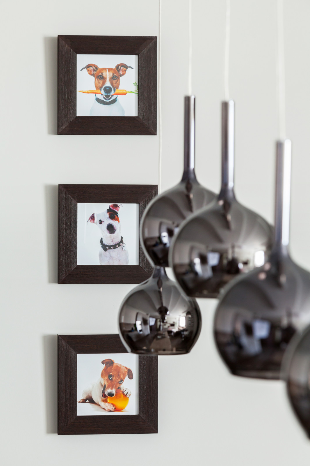 "Интеллигент"