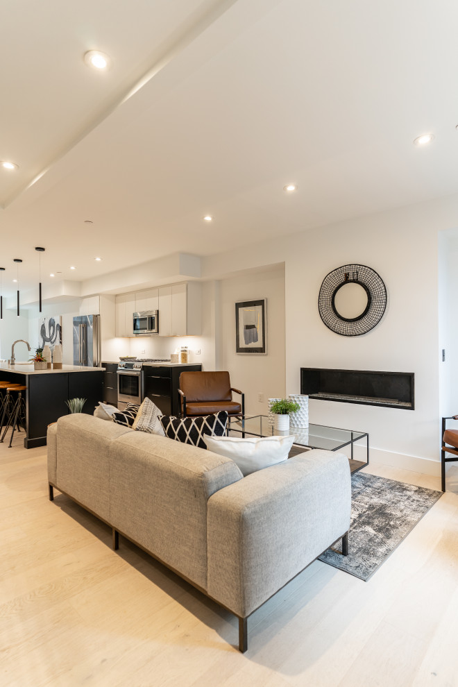 Southwest DC Duplex Renovation