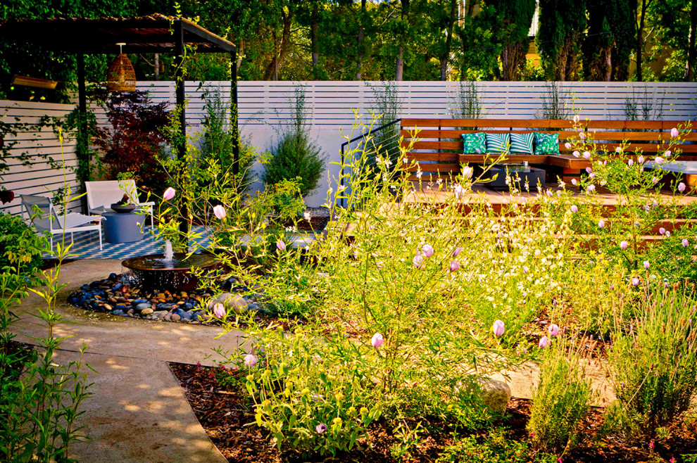 Foto di un giardino xeriscape minimal di medie dimensioni e dietro casa con un ingresso o sentiero e pavimentazioni in cemento