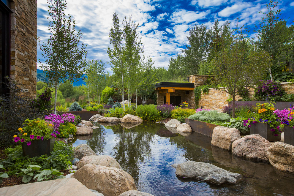 Design ideas for a contemporary side yard full sun garden in Denver with with pond.