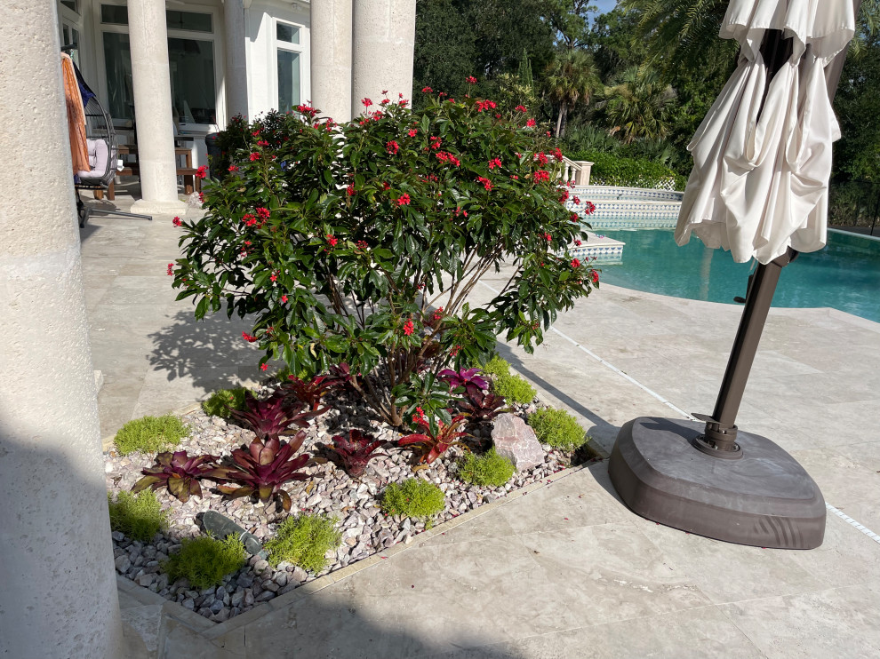 Landscape Installation | San Marco - Jacksonville