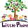Little Plums Nursery Sneinton