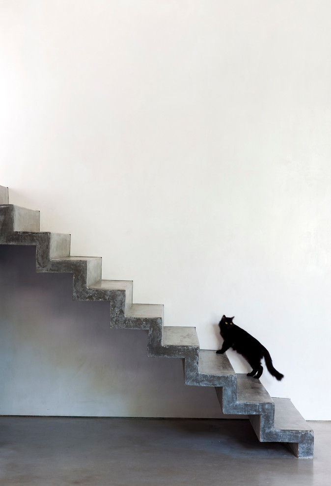 Design ideas for a contemporary concrete straight staircase in Houston with concrete risers.