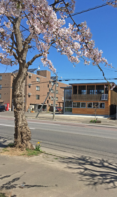 新川 桜並木の家 Asiatico Sapporo De Atelier Momo Houzz
