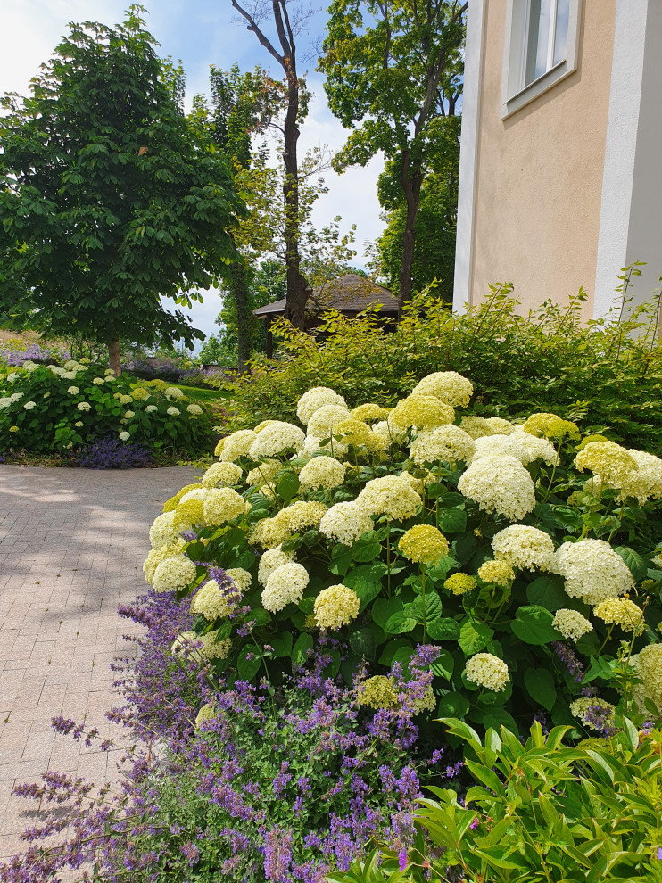 Частный сад