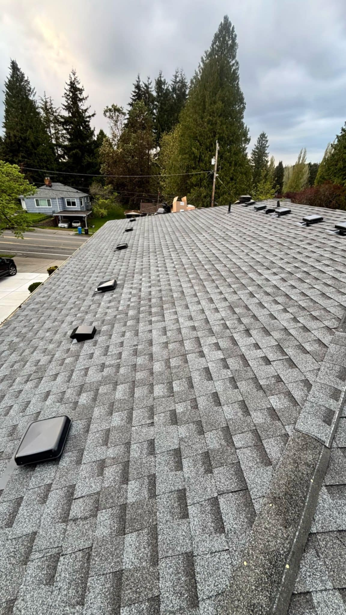 Roof Replacement