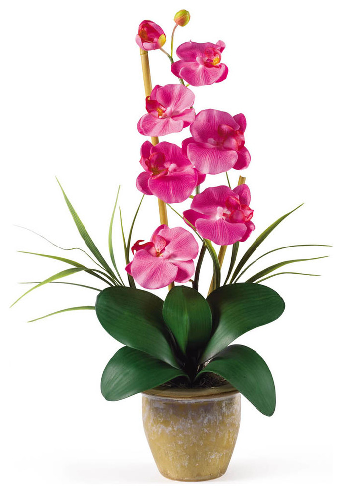Single Stem Phalaenopsis Silk Orchid Arrangement