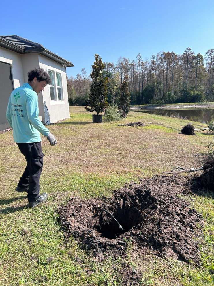 Rooted in Sustainability: Tree Planting with Arborist Partner