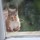 evelyn_moorkens