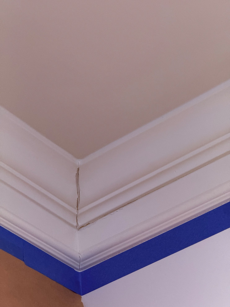 SV215 - Interior Painting